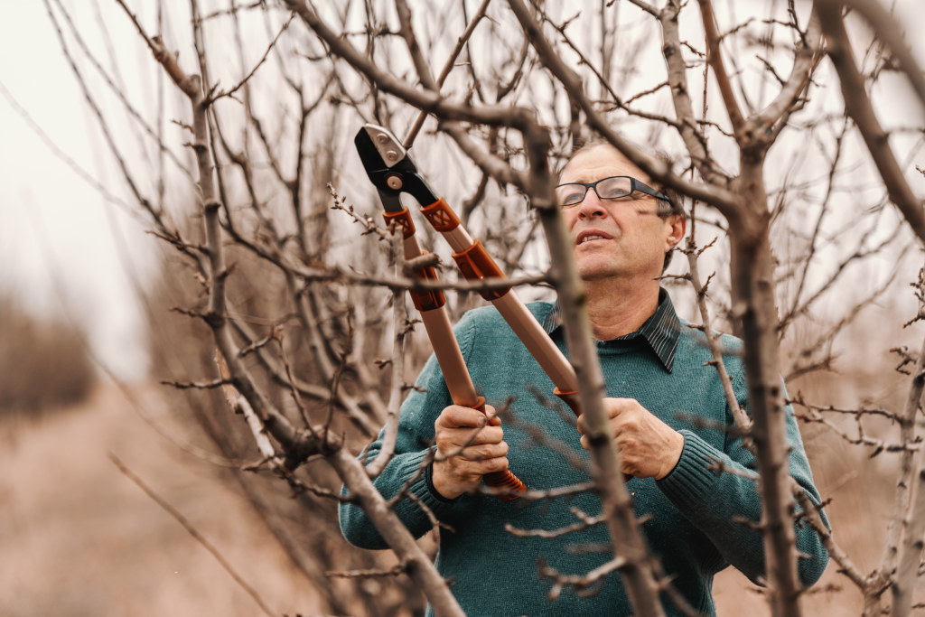 Ogrody przydomowe dla psów – przestrzeń i wygoda dla czworonogów