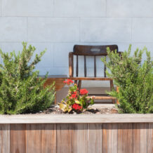 Ogród w stylu nowoczesnym – minimalistyczne formy i geometryczne kształty