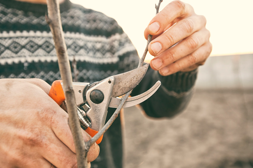 Ogrody japońskie – harmonia i spokój w Twoim ogrodzie